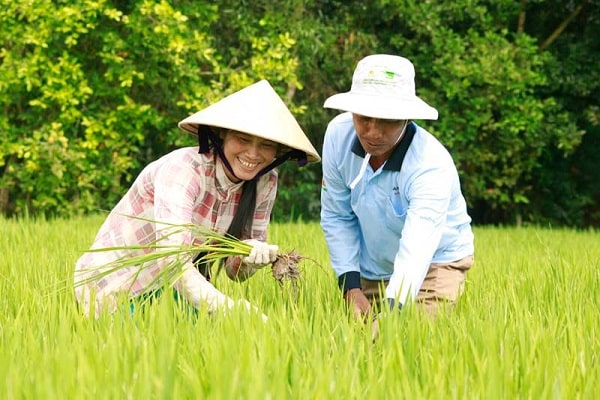 Vietnamese People - Lifestyle & Characteristics