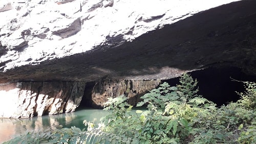 Phong Nha Grotto | Top attractions in Quang Binh