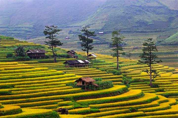 Hieu Village, A Great Place For Trekking & Homestay Experience in Pu Luong Nature Reserve