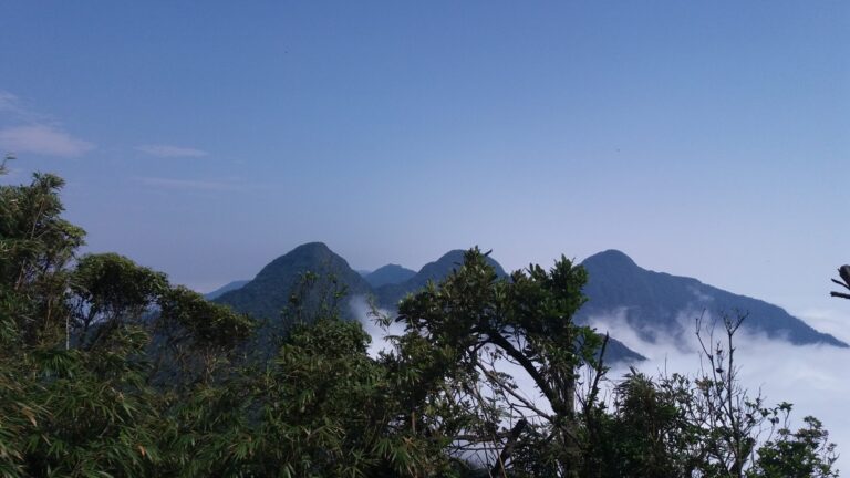 Tam Dao: The Perfect Mountain Escape for Your Holiday
