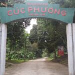 Escape Hanoi to Cuc Phuong National Park : Forest Trekking & Wildlife Conservation Visit