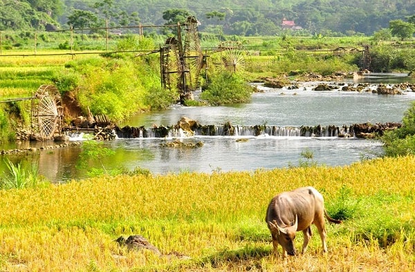 Best Time to Visit Vietnam: Complete Vietnam Weather & Travel Guide
