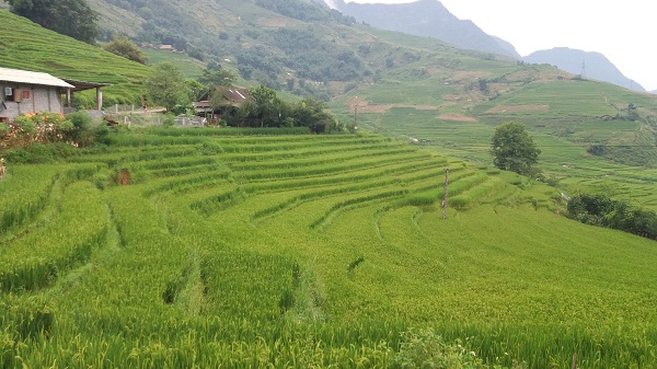 Travel tips to Sapa and Bac Ha Market