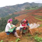Best Places to Visit in Mu Cang Chai: Must-See Attractions