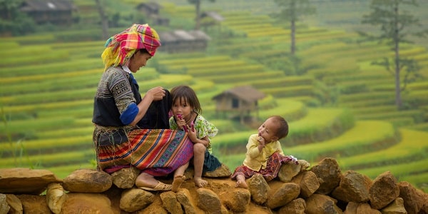 Best time to visit Mu Cang Chai for great pictures of rice terraces
