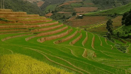 Car rental to Mu Cang Chai from Hanoi with budget cost
