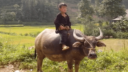 How to Get to Ha Giang from Hanoi
