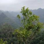 2-Day Scenic Cat Ba Island Tour : Lan Ha Bay Cruise & National Park Trek