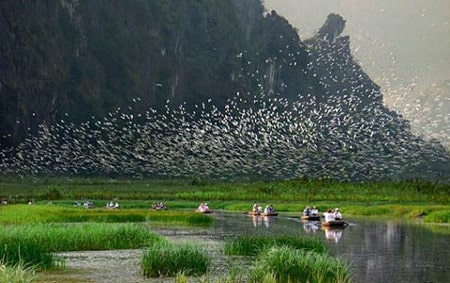 Top 7 reasons for a rowing boat ride in Van Long nature reserve