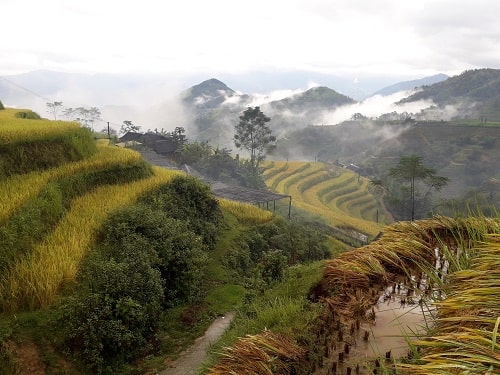 A memorable journey : trek & homestay in Ban Luoc village