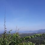 Bach Ma National Park – A Must-Visit Natural Escape Near Hue