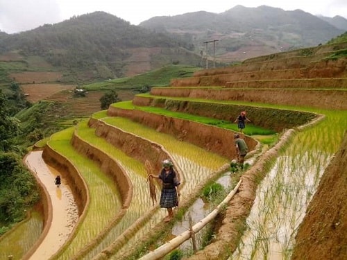 Biking & trekking fun in Nghia Lo & Mu Cang Chai