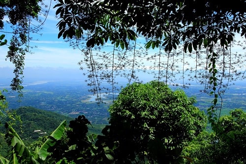 What A Memorable Day Adventure to Ba Vi National Park