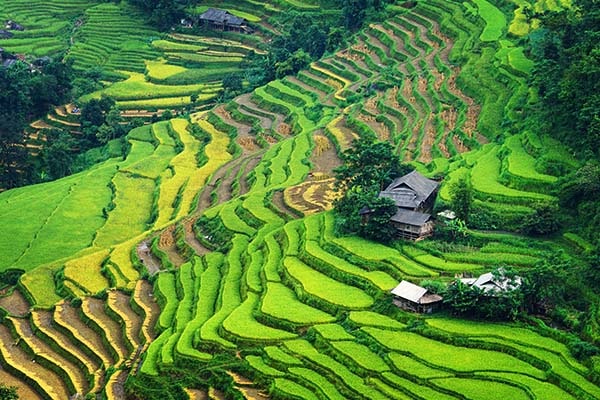 What A Big Miss If Doing Trip to Ha Giang Without Paying A Visit to Hoang Su Phi