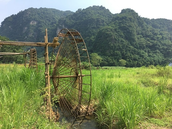 Great Impression on the Beauty of Northern Mountain Vietnam