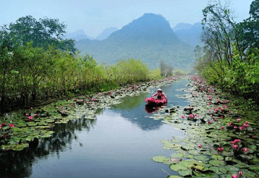 Car hire to Perfume pagoda from Hanoi with flexible comfort & affordable price