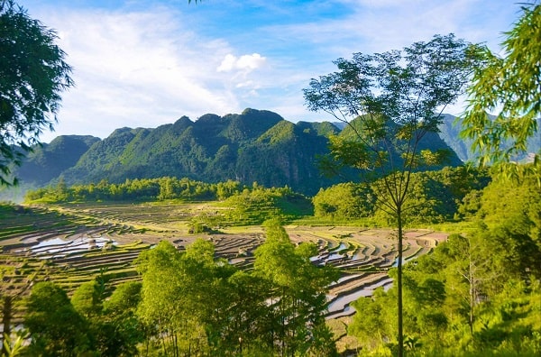 Top 9 Amazing Rice Field Destinations in Vietnam You Can’t Miss