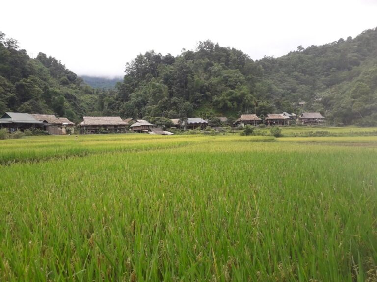 Kho Muong village – what a nice trek to feel the beautiful scenery & hospitable Thai ethnic