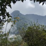 Ba Vi National Park Day Tour – Fresh Air, Forest Trails & Stunning Views