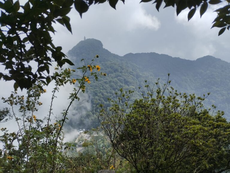 Ba Vi National Park: Vietnam’s Best-Kept Secret for Nature Lovers