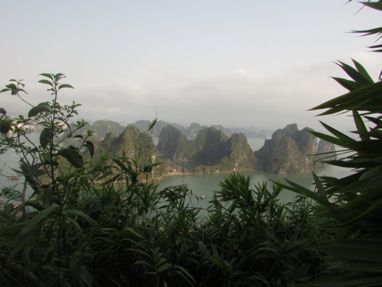 Bai Tho Mountain: The Ultimate Viewpoint of Halong Bay – Hike and Explore