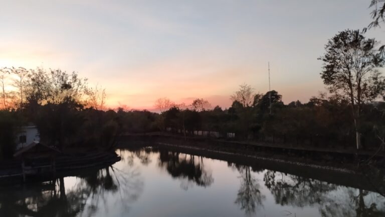 Yok Don National Park : Top 5 Amazing Experiences You Must Try