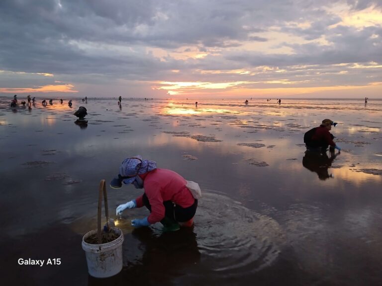 Thai Binh Infinity Sea: An Awesome Check-in Experience at Dawn for Any Nature Lovers