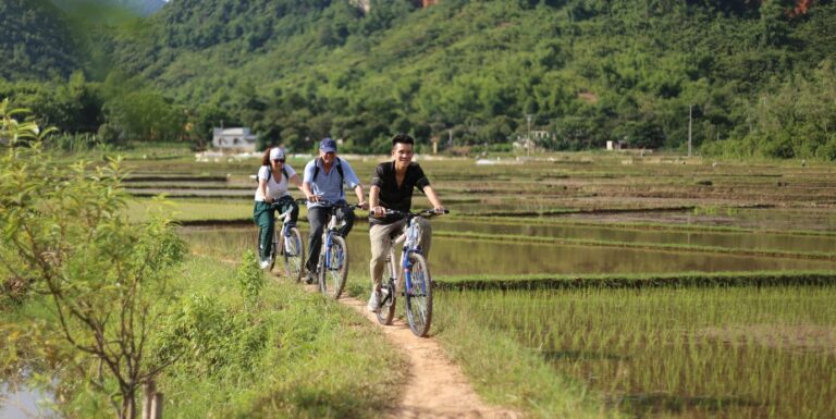 Unleash Your Adventurous Spirit: Top 8 Adventure Activities to Try in Vietnam