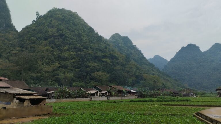 Discover the Charm of Phia Thap, A Traditional 100-Year-Old Incense-Making Village In Cao Bang