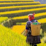 Mu Cang Chai Exploration : Your Complete Travel Guide to Rice Terraced Paradise in Vietnam