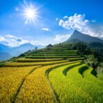 Best Time to Visit Sapa Vietnam: Weather by Month, Seasons & Stunning Rice Terraces