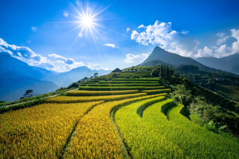Best Time to Visit Sapa Vietnam: Weather by Month, Seasons & Stunning Rice Terraces