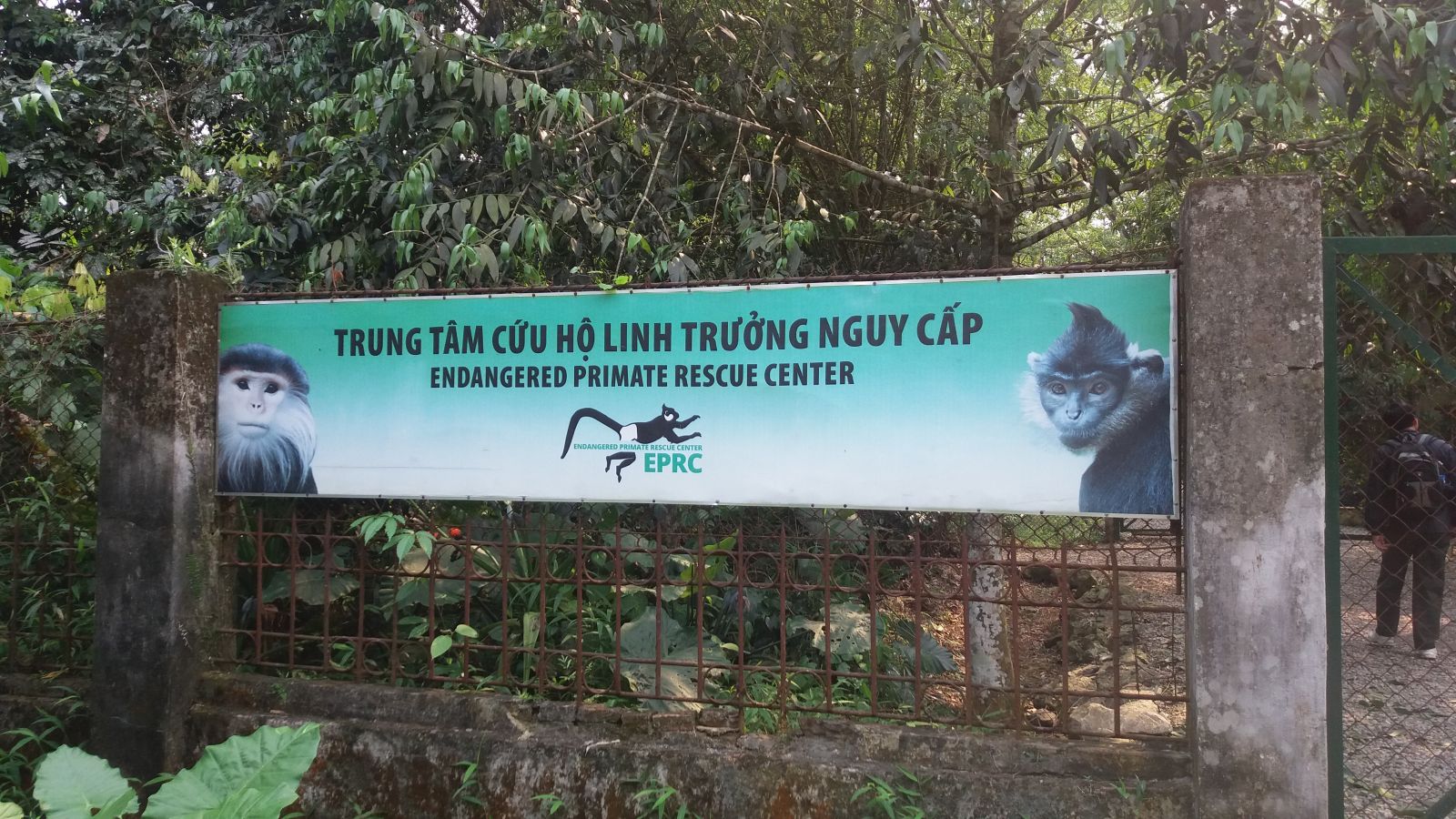 Cuc Phuong national park1