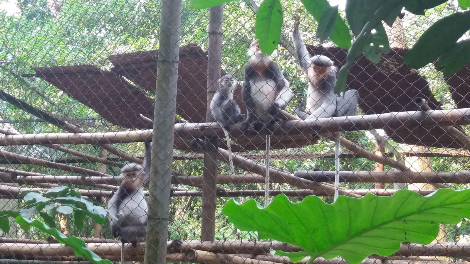  Private Car Rental to Cuc Phuong National Park & Ninh Binh1