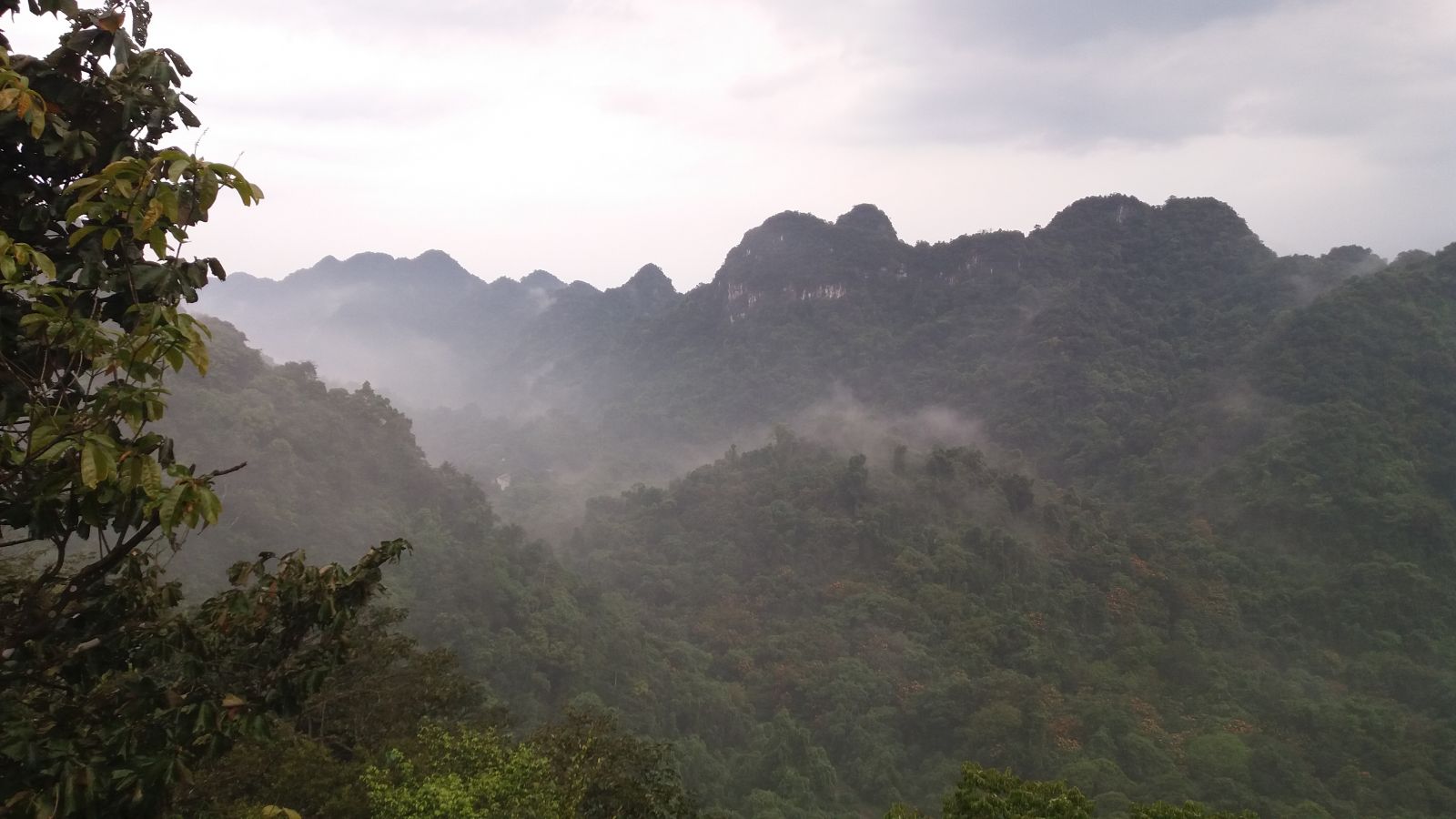 Private car rental to Cuc Phuong National Park & Ninh Binh