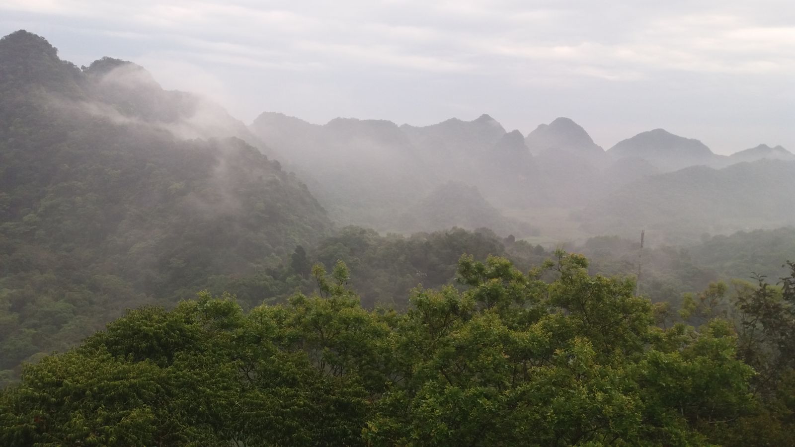 Cuc Phuong national park