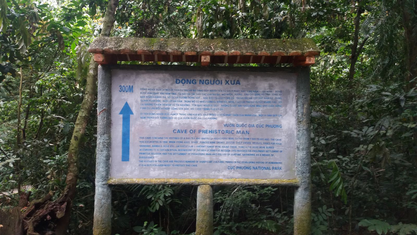 Cuc Phuong national park -cave