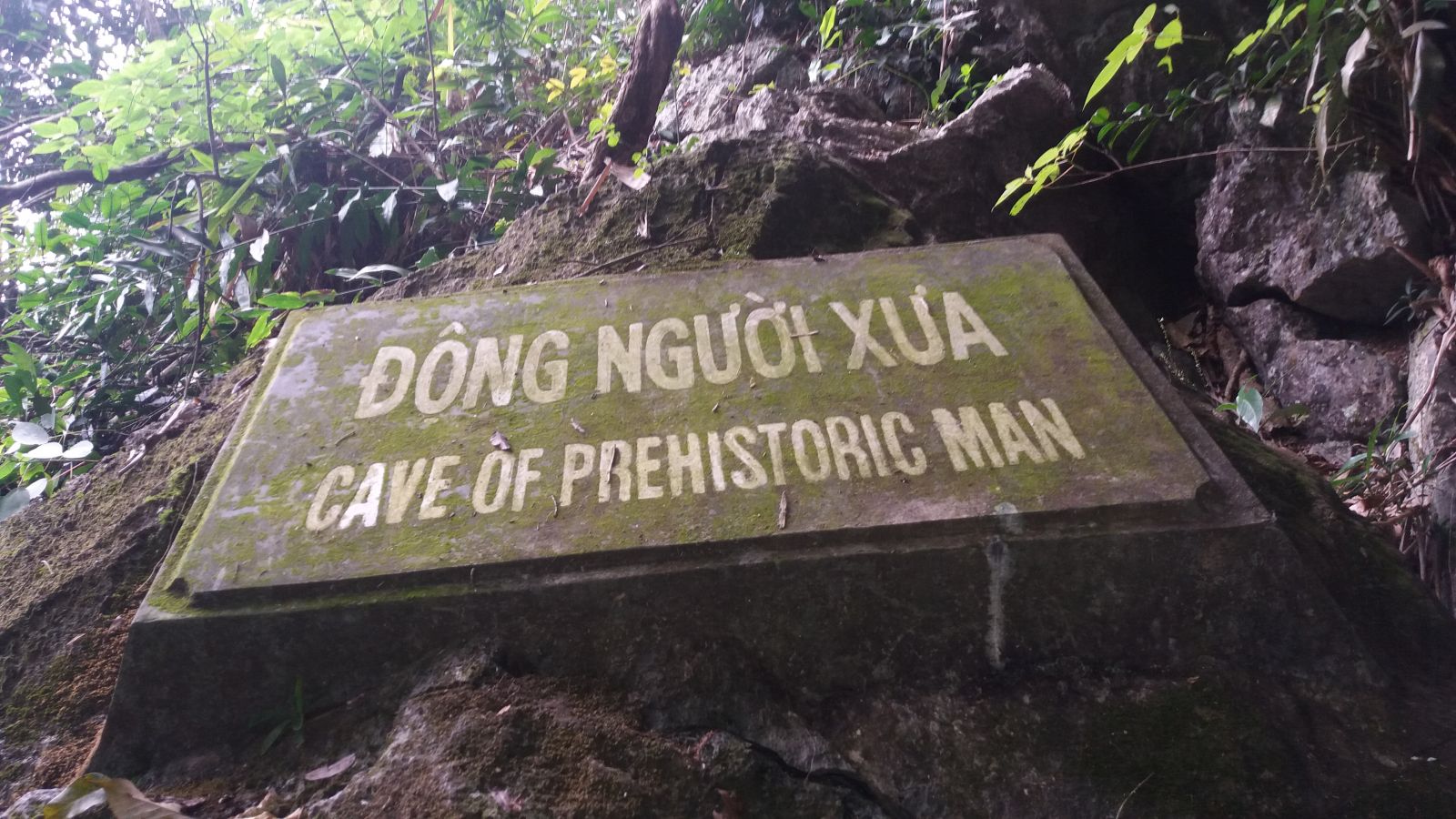 Cuc Phuong National Park nguoi xua
