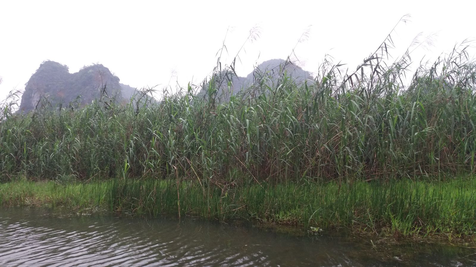 Van Long Nature reserve 2