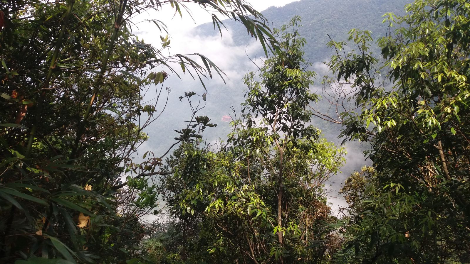 Tam Dao attractions, national park