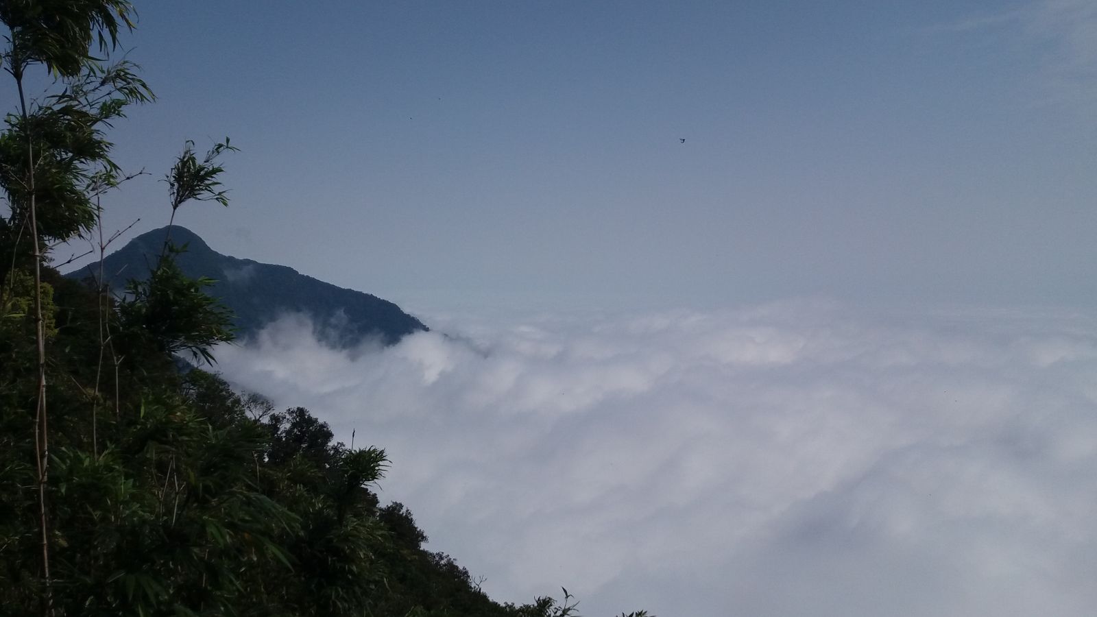 Tam Dao attractions - Rung Rinh peak