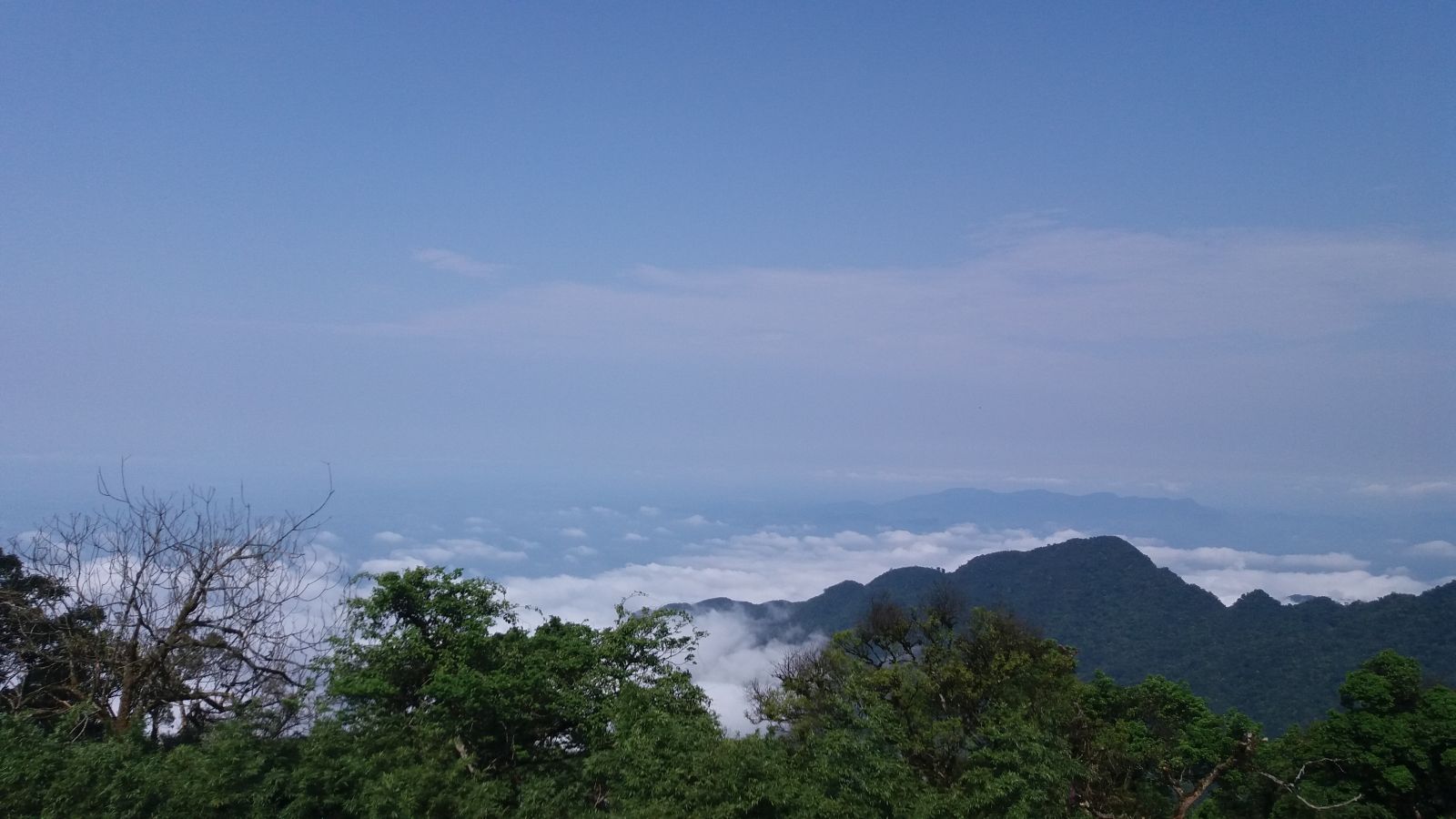 Tam Dao view of clound