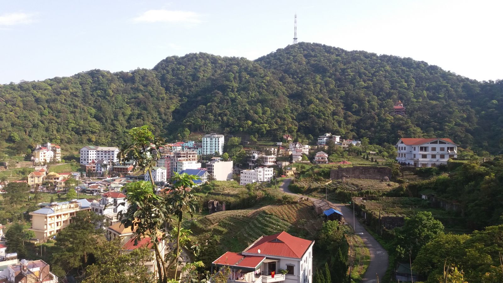 Tam Dao attractions- TV tower
