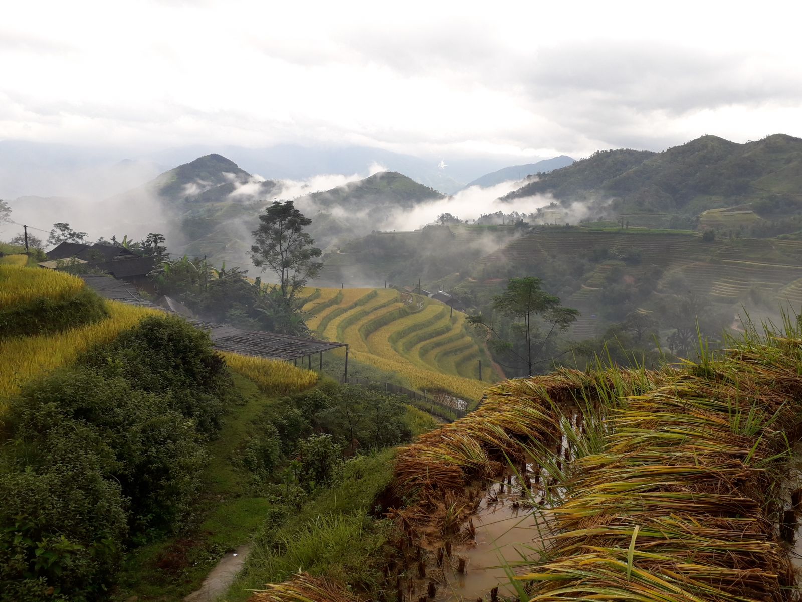 Luoc village trekking