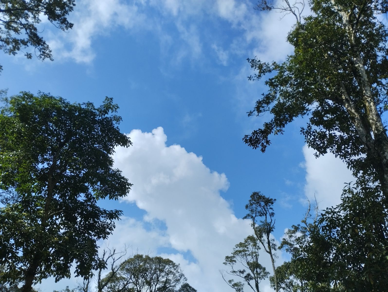 View at Thuong temple 