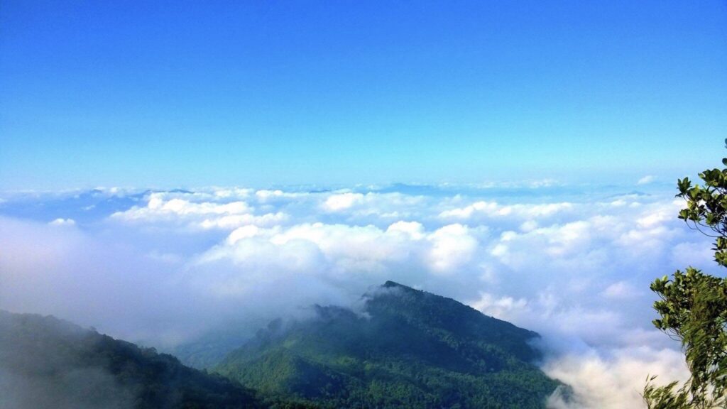 Ba Vi National Park Day Tour – Fresh Air, Forest Trails & Stunning Views