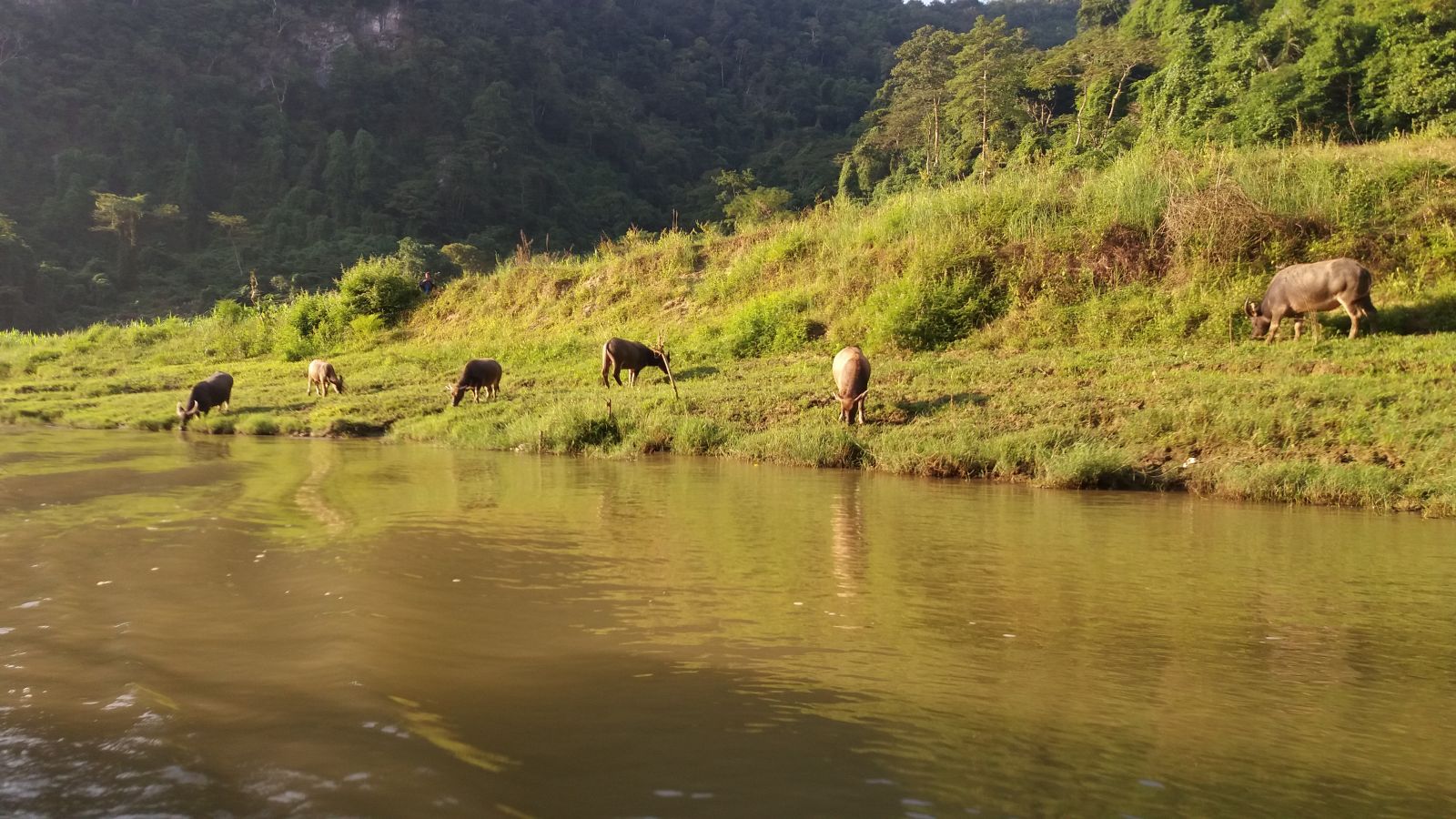 Ba Be lake, Ba Be national park in Nang river