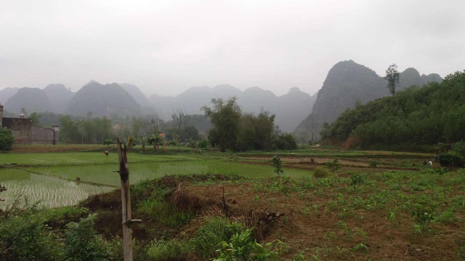 Bac Son Travel experiences--view