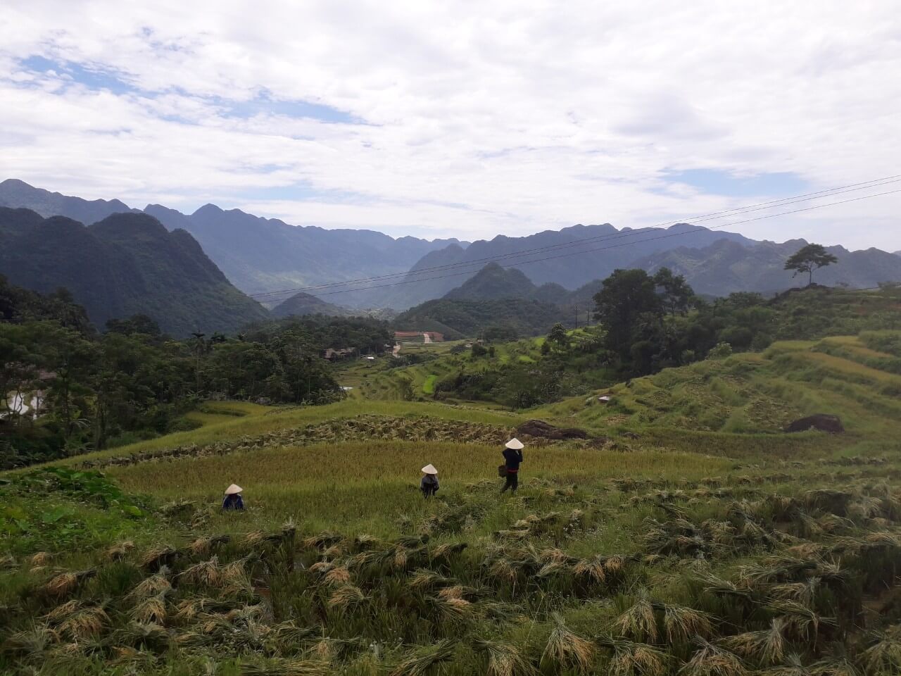 Trek Ban Don - Kho Muong
