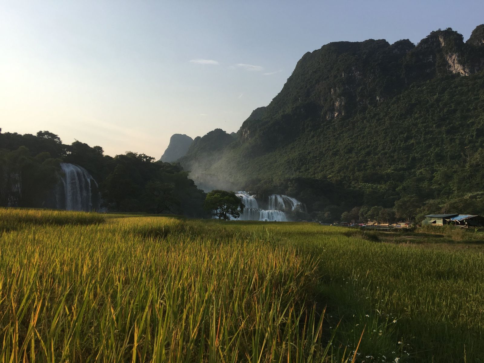 Rice fields Ban Gioc